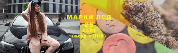 ПСИЛОЦИБИНОВЫЕ ГРИБЫ Елизово