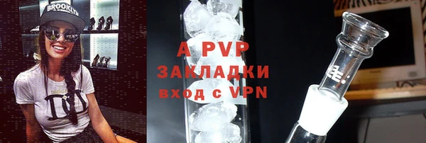 ПСИЛОЦИБИНОВЫЕ ГРИБЫ Елизово