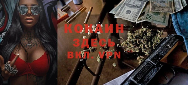 ПСИЛОЦИБИНОВЫЕ ГРИБЫ Елизово