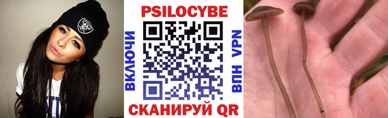 Галлюциногенные грибы прущие грибы  Кызыл 